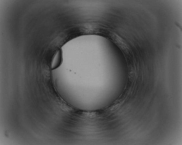 X0000093170469200709261059