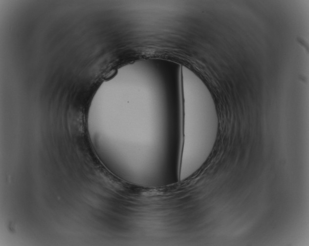X0000093170470200709261059