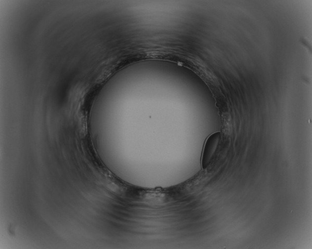 X0000093170471200709261059