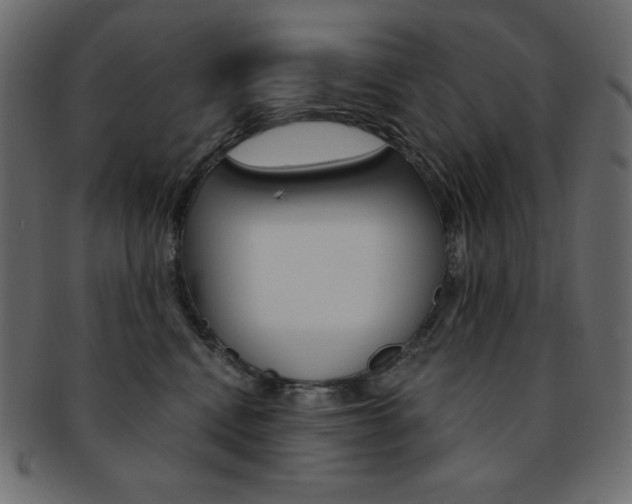 X0000093170472200709261059
