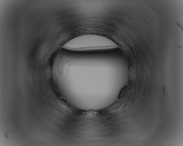 X0000093170474200709261059