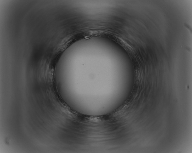 X0000093170475200709261059