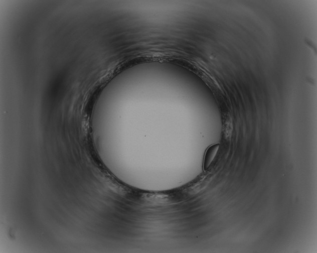 X0000093170476200709261059