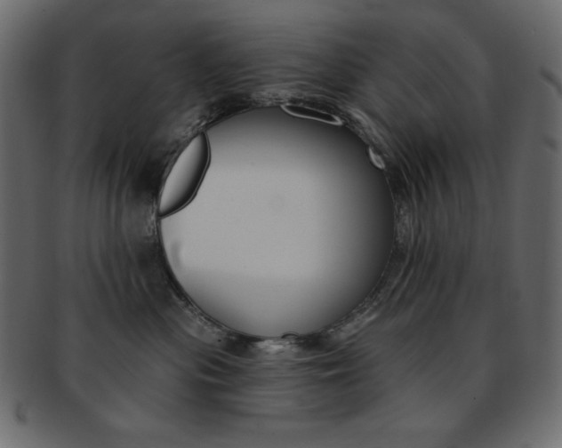 X0000093170477200709261059