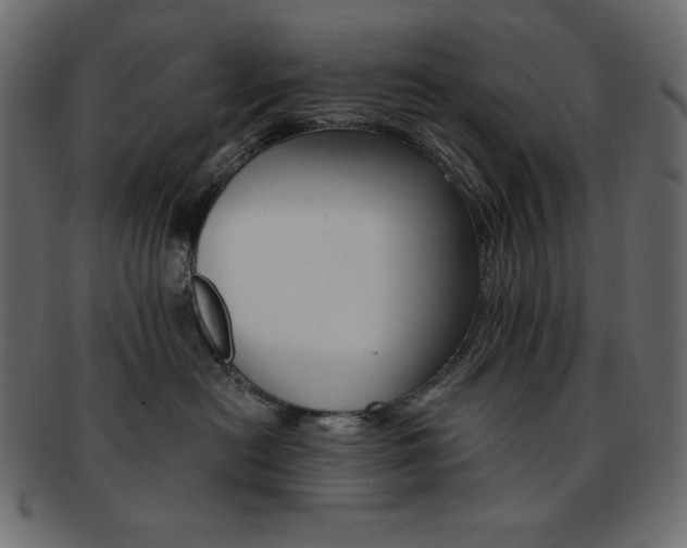 X0000093170478200709261059