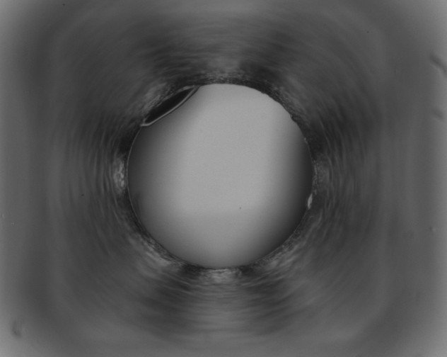 X0000093170479200709261059