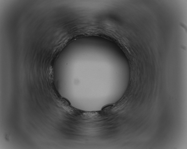 X0000093170480200709261059