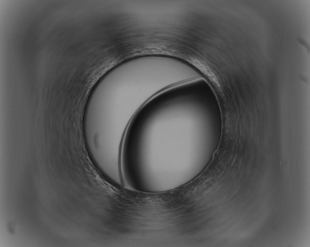 X0000093170481200709261059