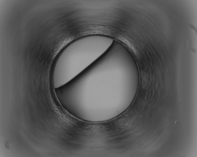 X0000093170482200709261059