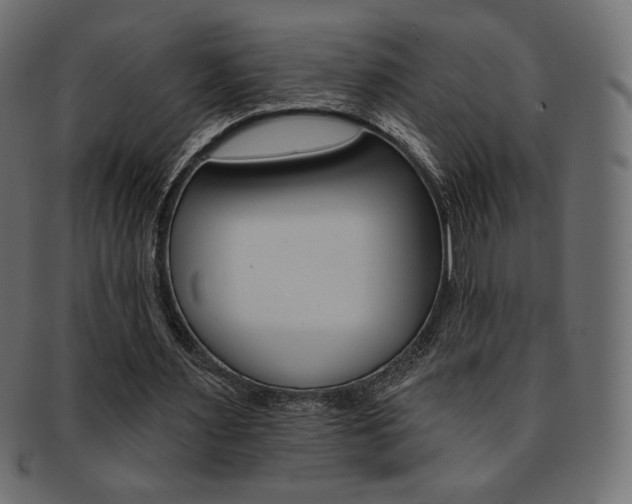 X0000093170483200709261059