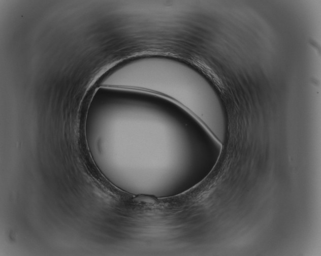 X0000093170484200709261059