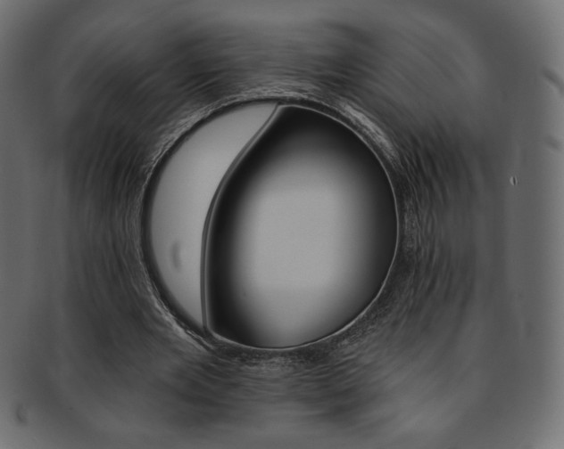 X0000093170485200709261059