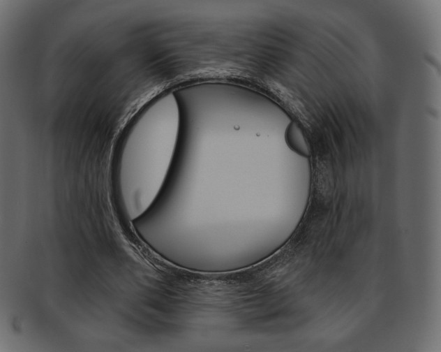 X0000093170486200709261059