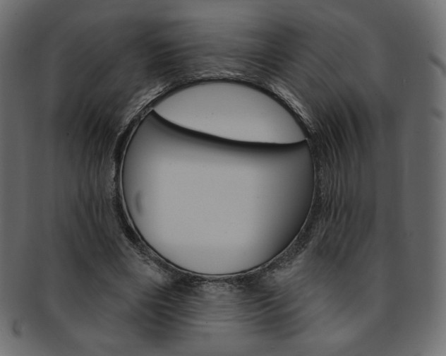 X0000093170490200709261059