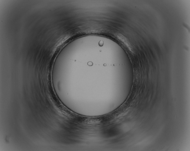 X0000093170491200709261059