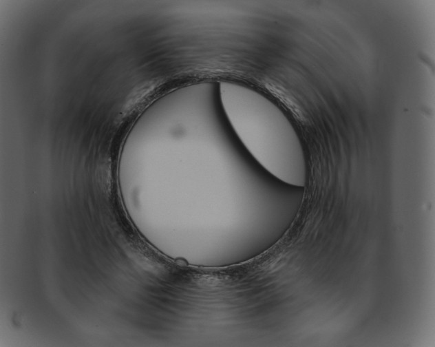 X0000093170494200709261059