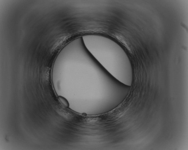 X0000093170495200709261059