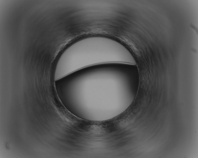 X0000093170496200709261059