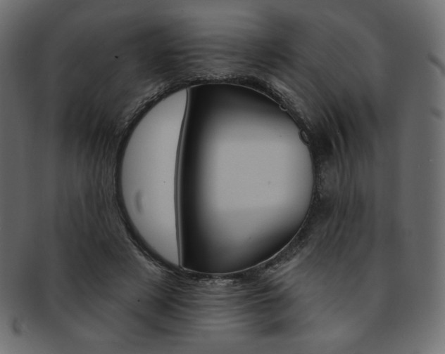 X0000093170497200709261059