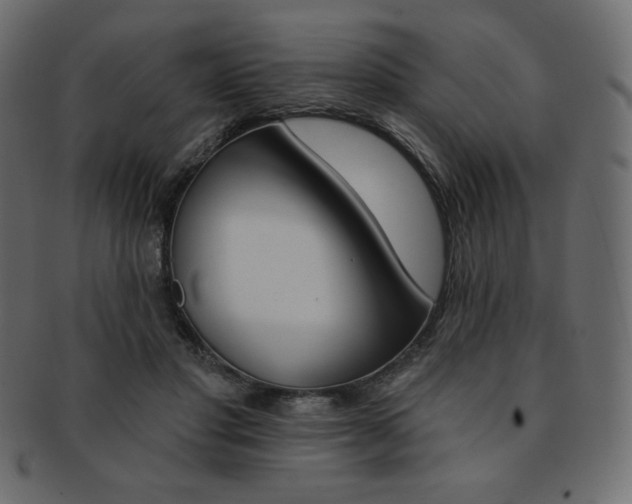 X0000093170501200709261059