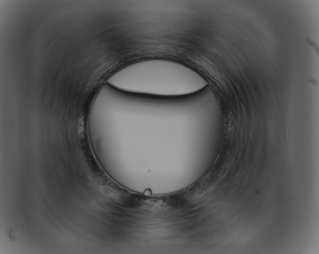 X0000093170502200709261059