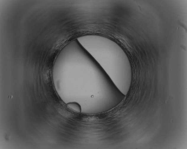 X0000093170503200709261059