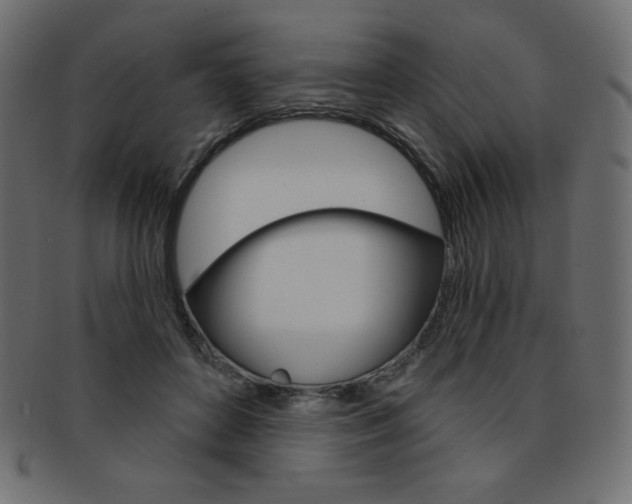 X0000093170504200709261059