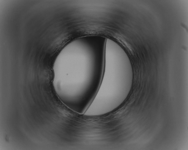 X0000093170505200709261059