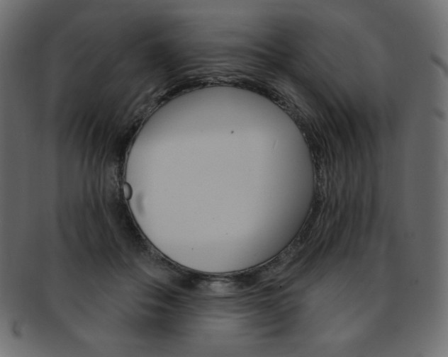 X0000093170506200709261059