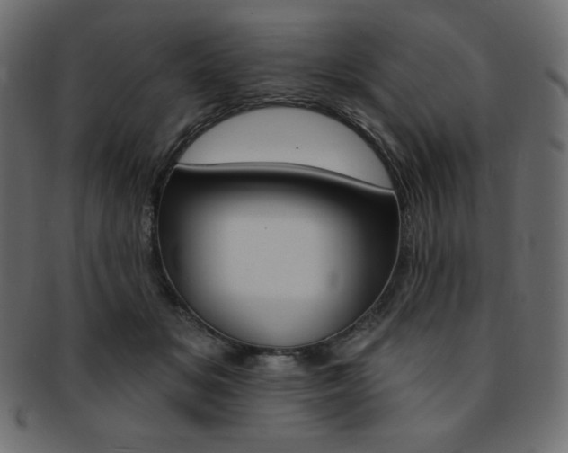 X0000093170509200709261059