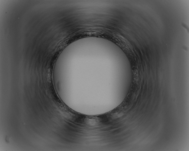 X0000093170510200709261059