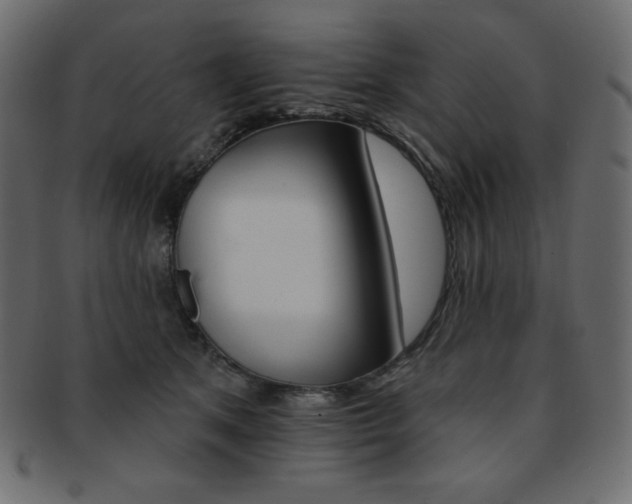 X0000093170513200709261058