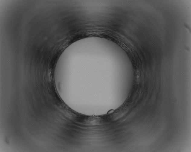 X0000093170514200709261058