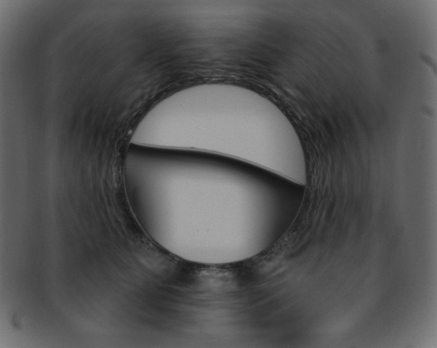 X0000093170515200709261058
