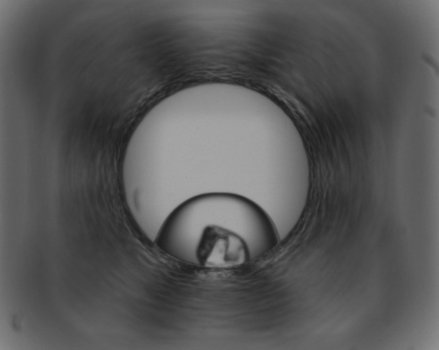 X0000093170517200709261058