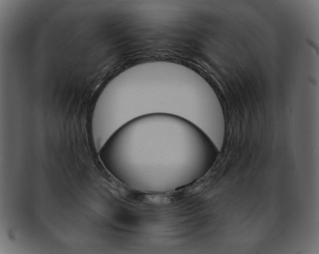 X0000093170520200709261058