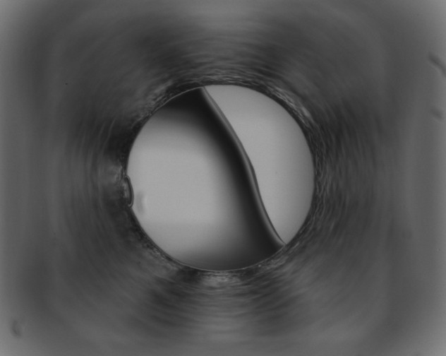 X0000093170521200709261058