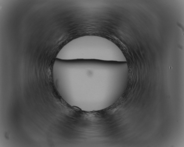 X0000093170523200709261058
