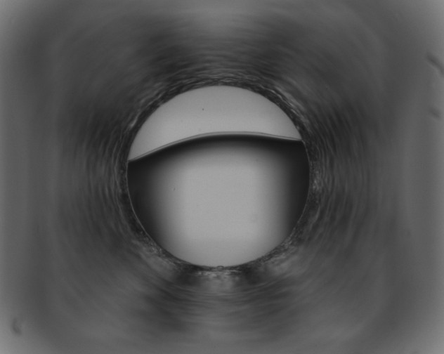 X0000093170524200709261058