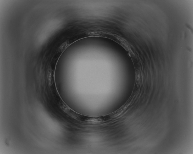 X0000093170525200709261058