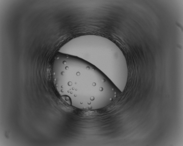 X0000093170527200709261058