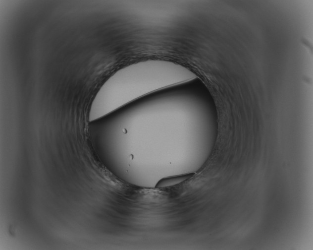 X0000093170528200709261058