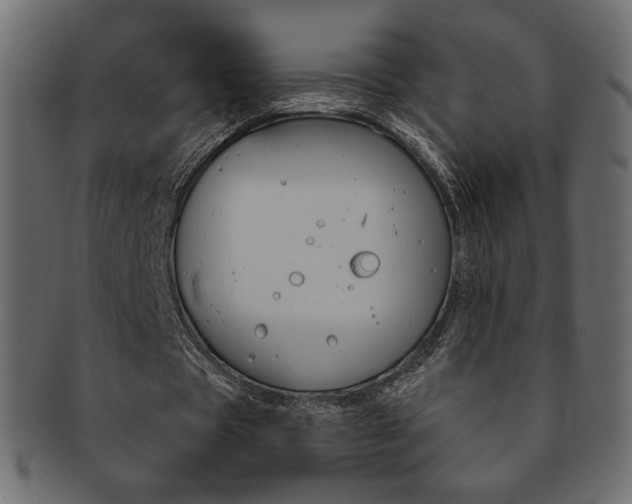 X0000093170529200709261058