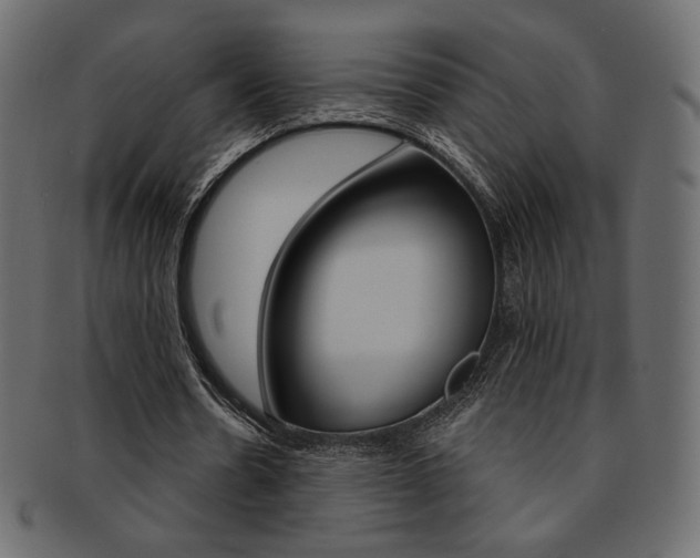 X0000093170530200709261058