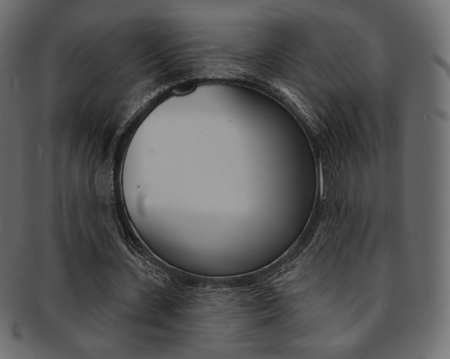 X0000093170531200709261058
