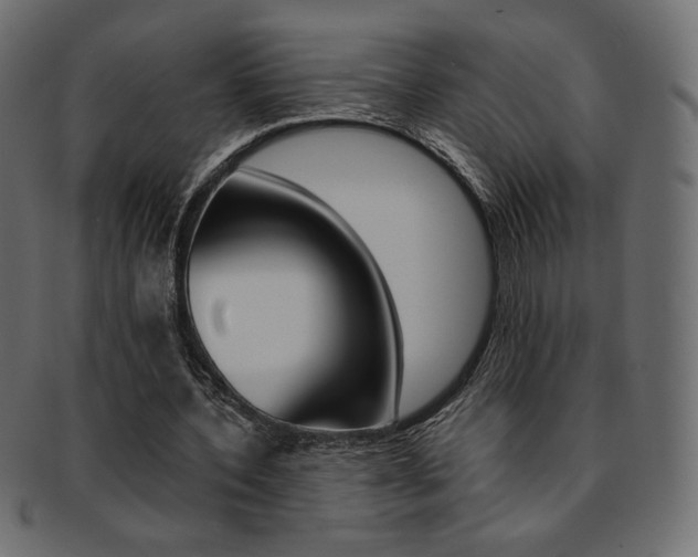 X0000093170532200709261058