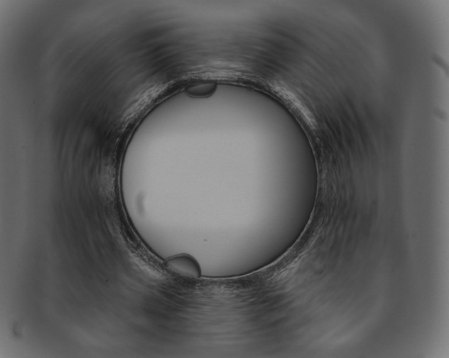 X0000093170533200709261058