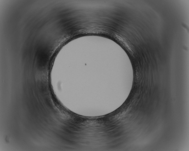 X0000093170534200709261058