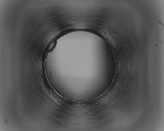 X0000093170535200709261058