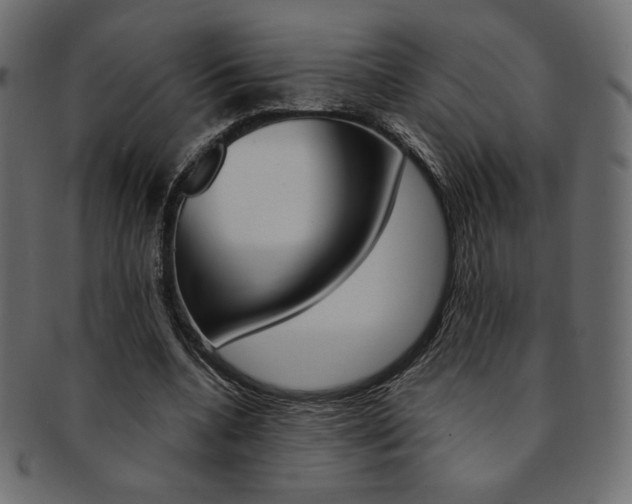 X0000093170536200709261058